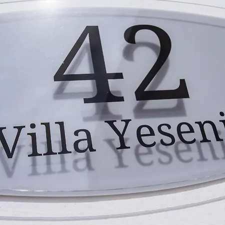 Yesenia Вилла *